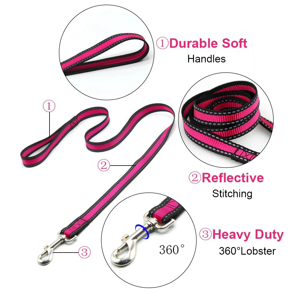 dog leash (2)