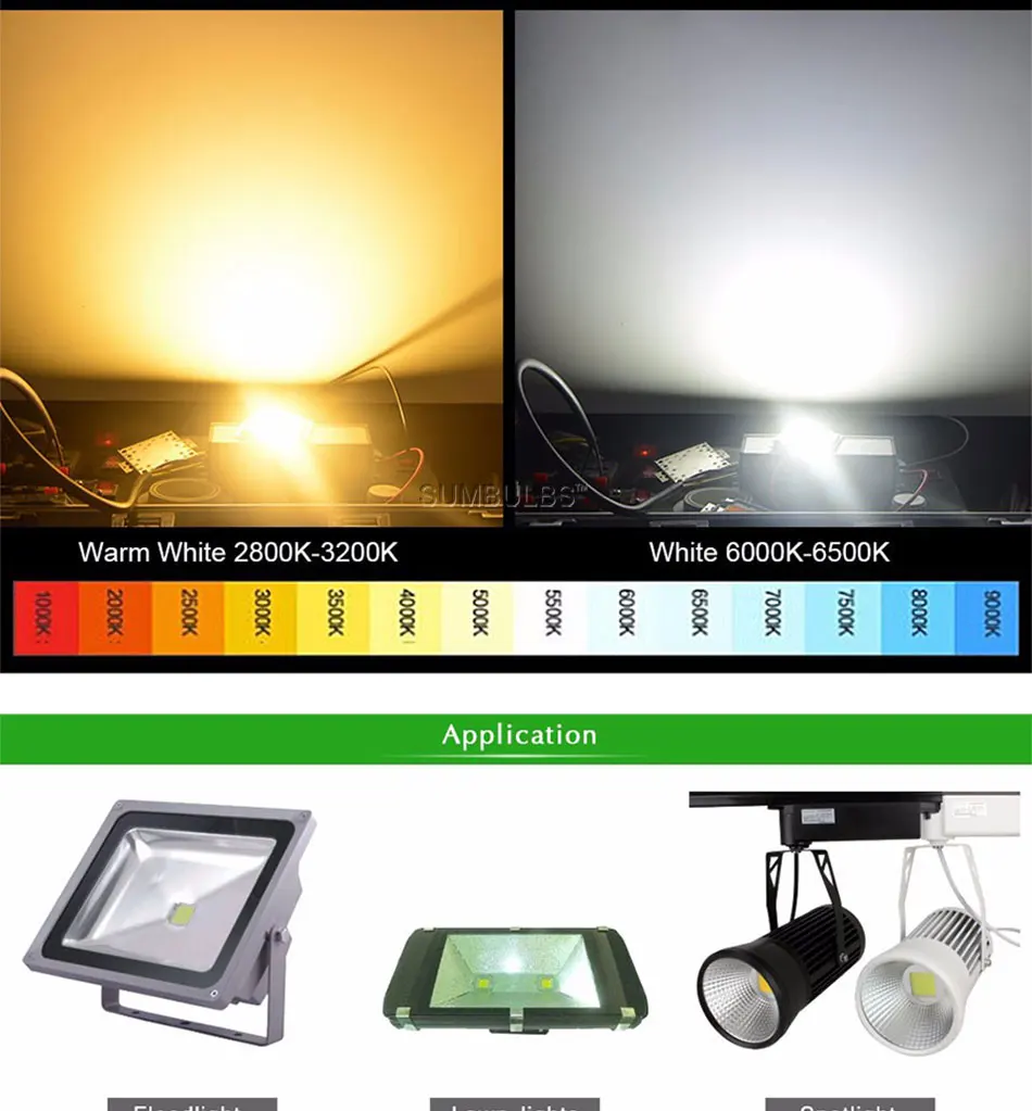 ac 110V 220V 100W 50w 30w 20w led chip light lamp led driver (7)