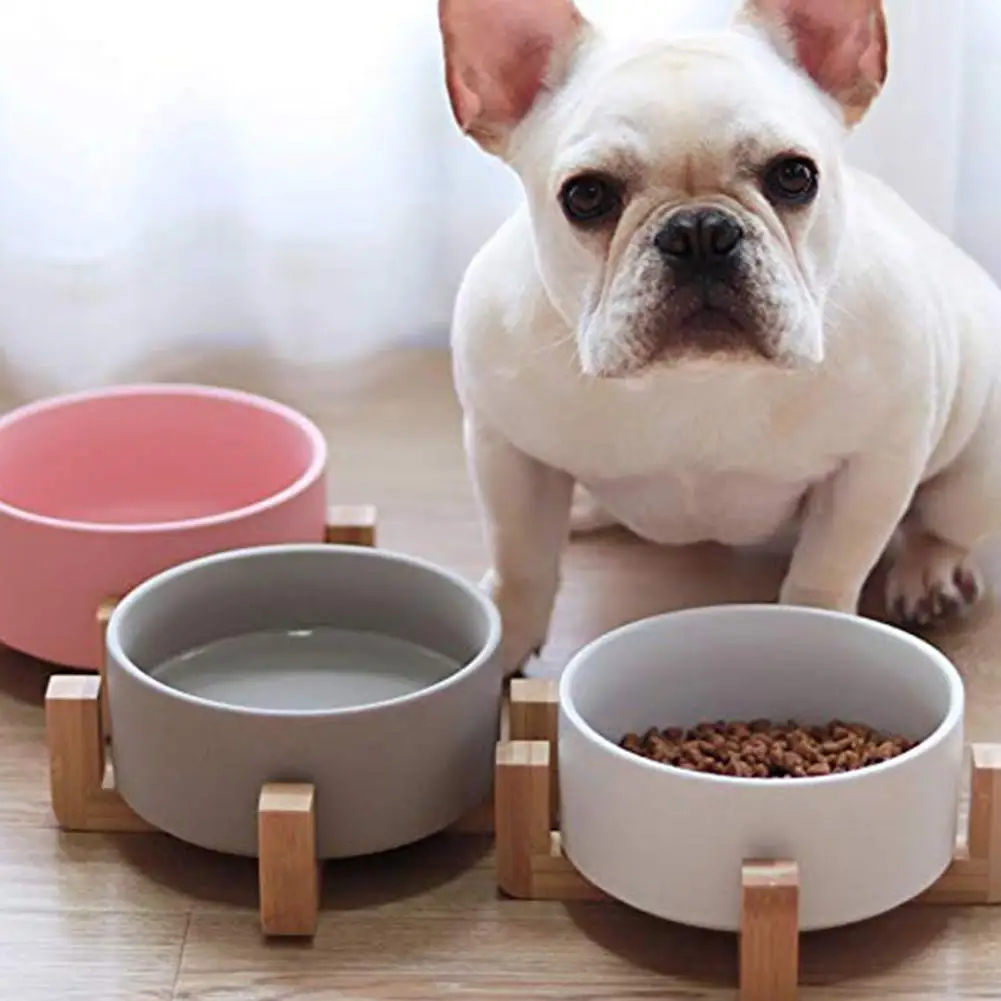 Dog Cat Bowls Travel Feeding Feeder Water Bowl For Pet Cats Feeder Water Bowl For Pet Dog Cats