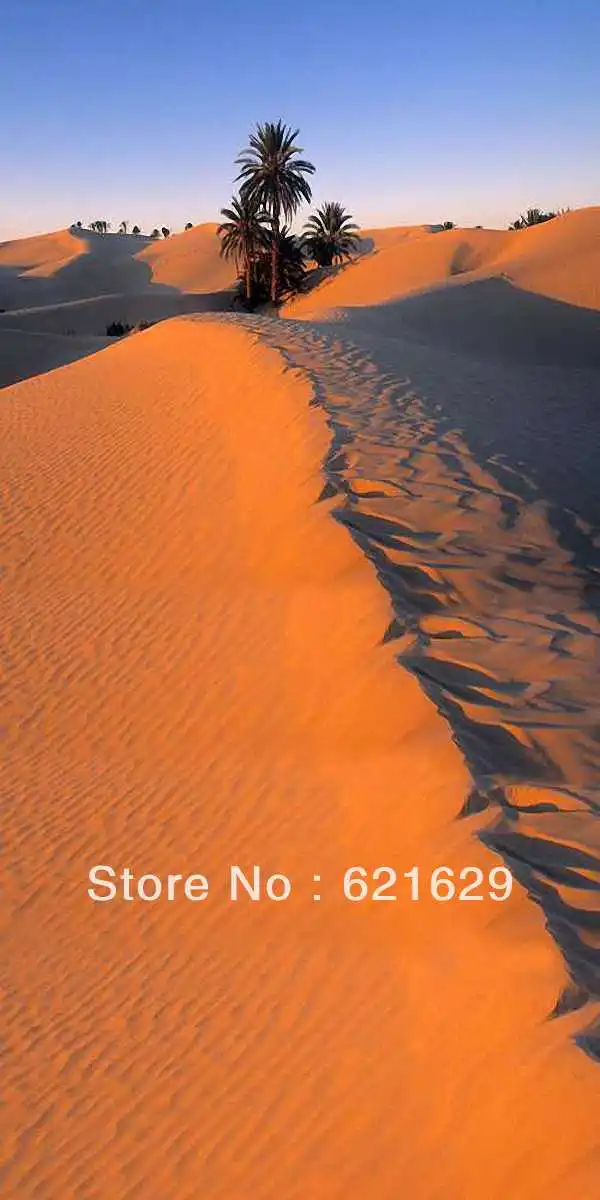

Vast expanse desert 10'x20' CP Computer-painted Scenic Photography Background Photo Studio Backdrop ZJZ-385