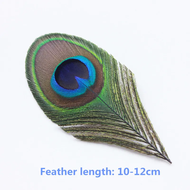 20pcs Real Peacock Feather-Trimmed Eyed Costumes Necklace Earrings: Wedding Decorative Accessories (10-12cm) image 2