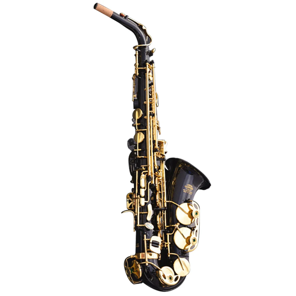 E flat Alto Saxophone Painted Golden Sax Playing Musical Instruments
