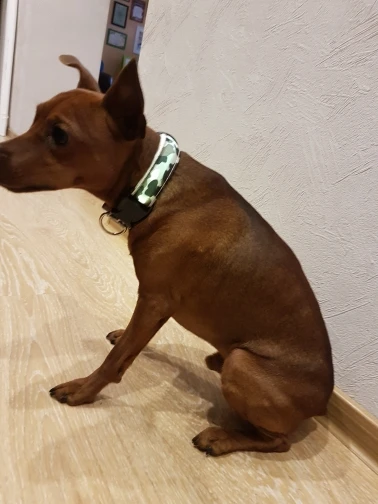 UTB8N6EKkyDEXKJk43Oqq6Az3XXae