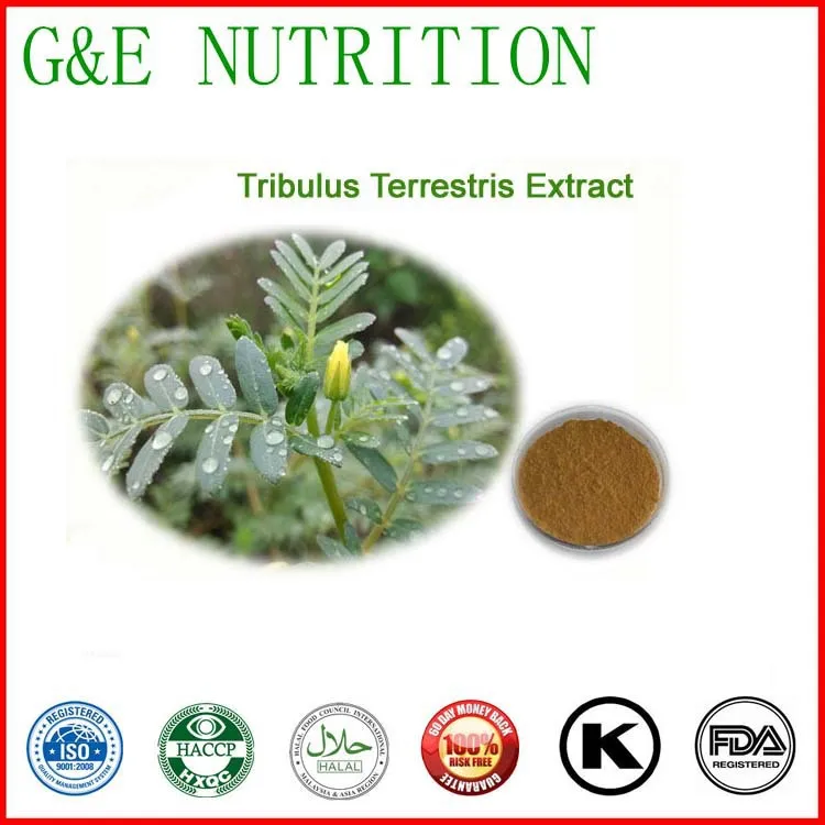 

hot selling tribulus 90% saponins extract powder 1kg/bag