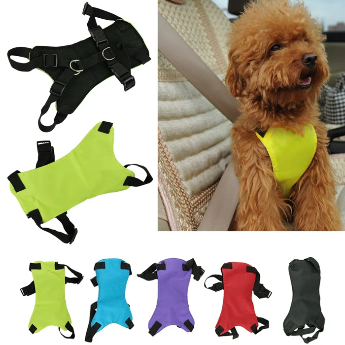 Douable Animal De Compagnie Chat Chien Sécurité Voiture