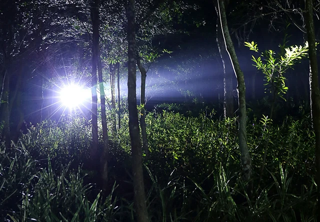 XLamp xhp70 2 Zoom najbardziej potężne latarka led latarka usb xhp70 xhp50 18650 lub 26650 akumulator 80000 lumenów polowanie tanie tanio Latarki 200-500 m 2-4 plików Inne camping working hand lamp hunting cycling climbing pesca Wysokie niskie Czarny 18650 Kabel usb do ładowania Bezpośrednie ładowanie XLamp xhp70 2 Zoom najbardziej potężne latarka led latarka usb xhp70 xhp50 18650 lub 26650 akumulator 80000 lumenów polowanie tanie tanio Latarki 200-500 m 2-4 plików Inne camping working hand lamp hunting cycling climbing pesca Wysokie niskie Czarny 18650 Kabel usb do ładowania Bezpośrednie ładowanie