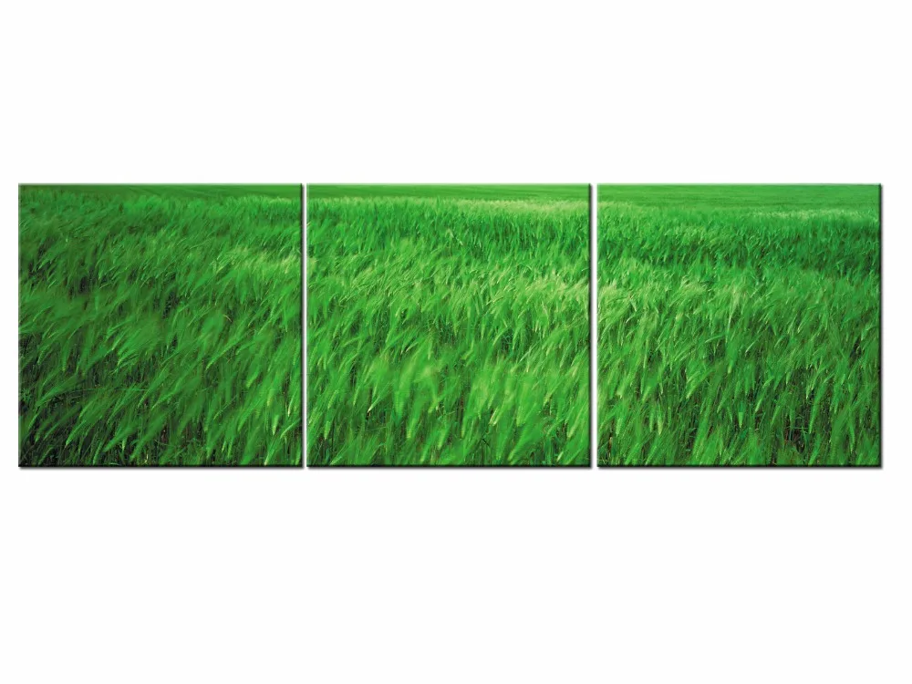 3 Piece Art Print Modular Painting Poster Landscape Canvas Wall Green