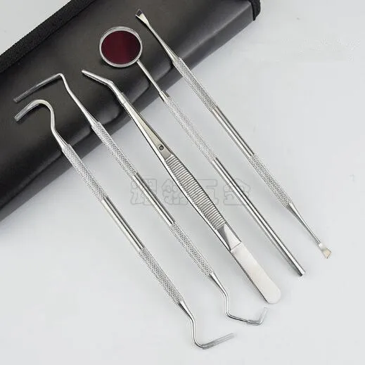 Fashion Hot 5Pcs Stainless Dental Tool Set Kit Dentist Teeth Clean
