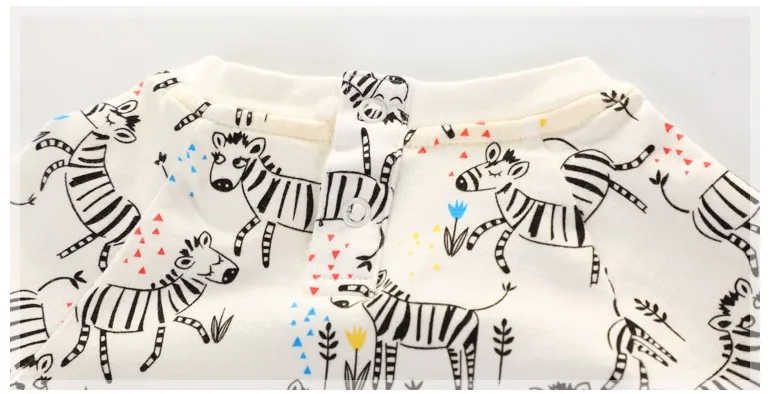 zebra 13