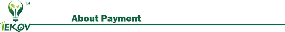 About-Payment2