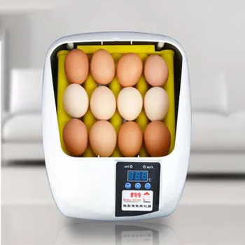 닭 메추라기 비둘기 새 인큐베이터, 유럽 표준 플러그 제공, 가정용 부화 기계 많은, 220V, 12 계란 인큐베이터