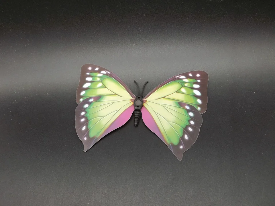 I238-Butterfly (8)