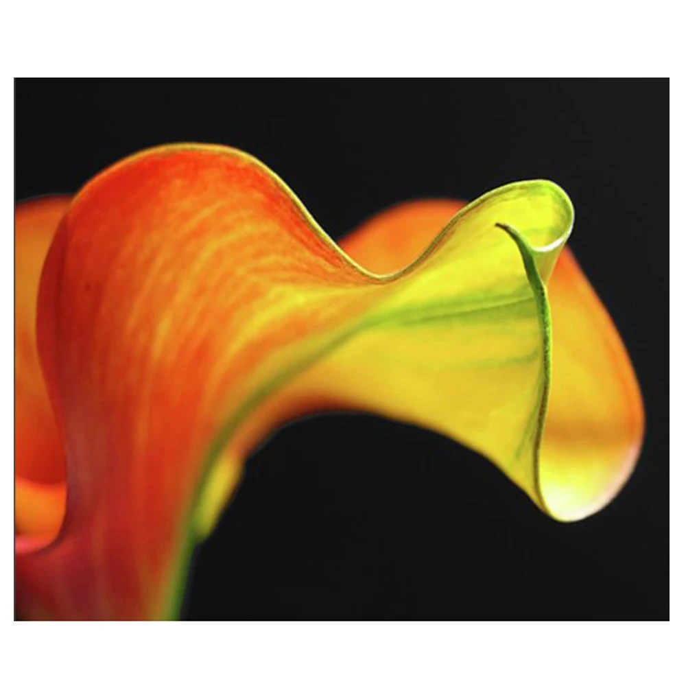

DIY Diamond Painting Flower Calla Lily oil painting Diamond Embroidery Yellow lily Cross Stitch rose part fulll round Home Decor