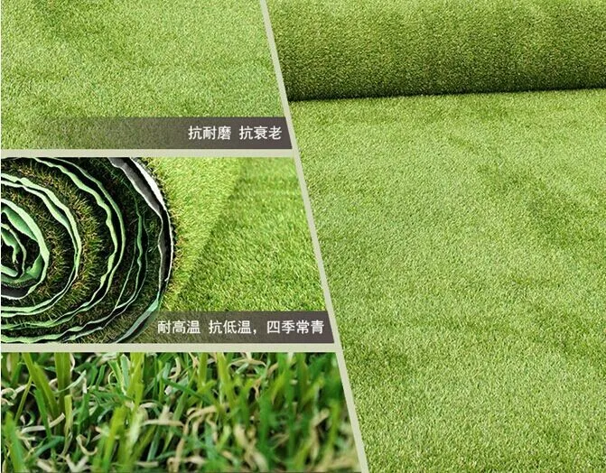 landscape grass (17)