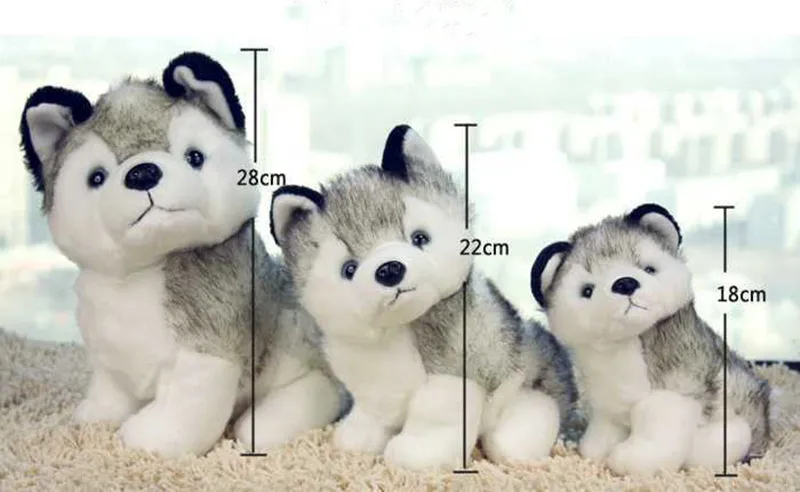 1313106790_742076094