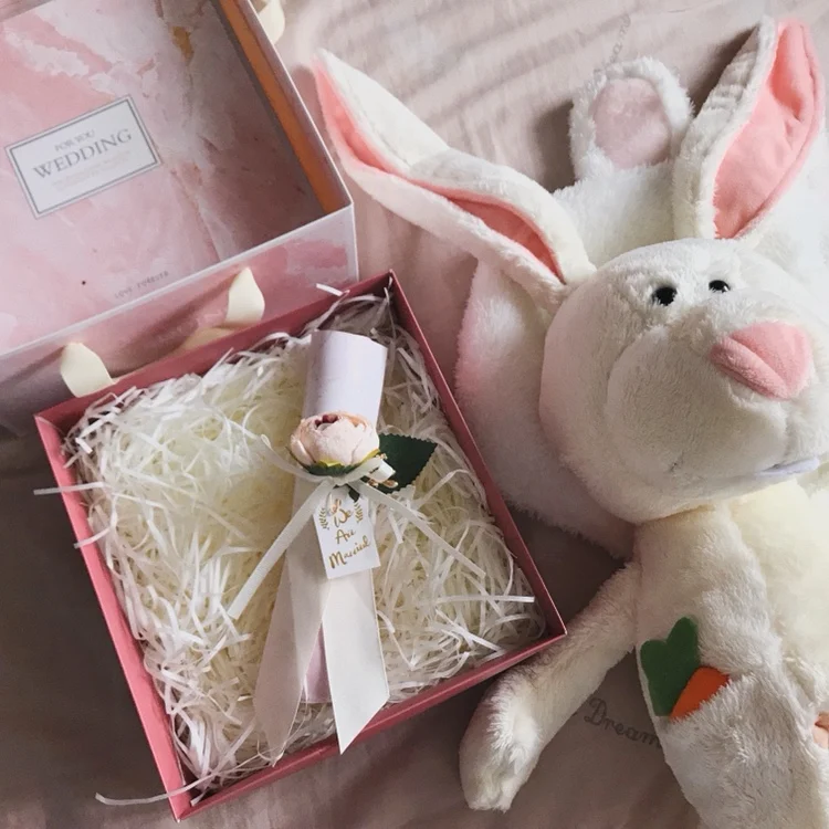 1 шт. милые плюшевые игрушки сладкая морковь кролик Банни кукла любителей девочек подарок на день рождения плюшевые куклы смешное чучело