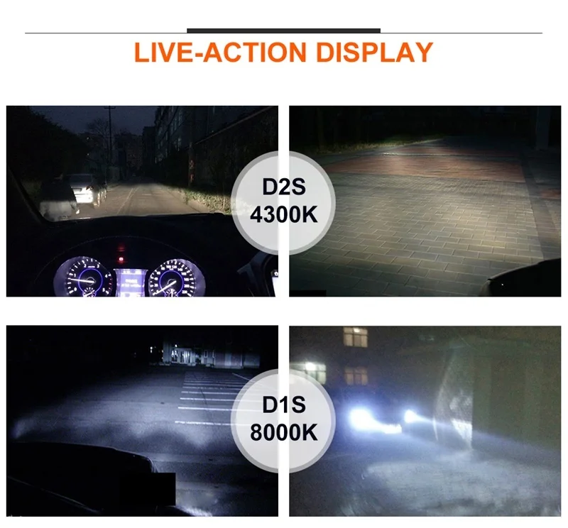 D_08