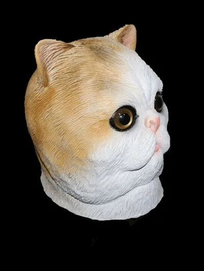 HY-AM107 Cat.