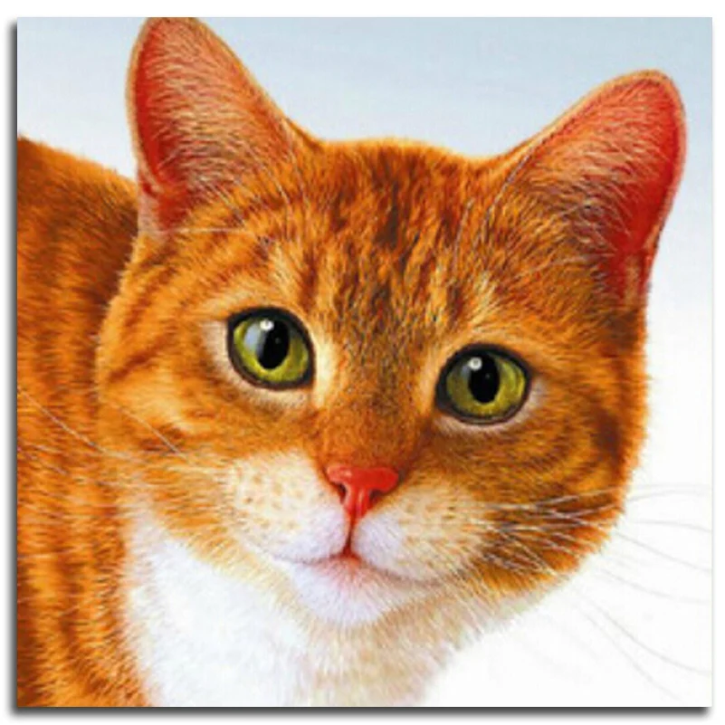 

Diamond mosaic yellow cat animal handcraft diamond embroidery picture of rhinestones Icons needlework cross-stitch kits beadwork