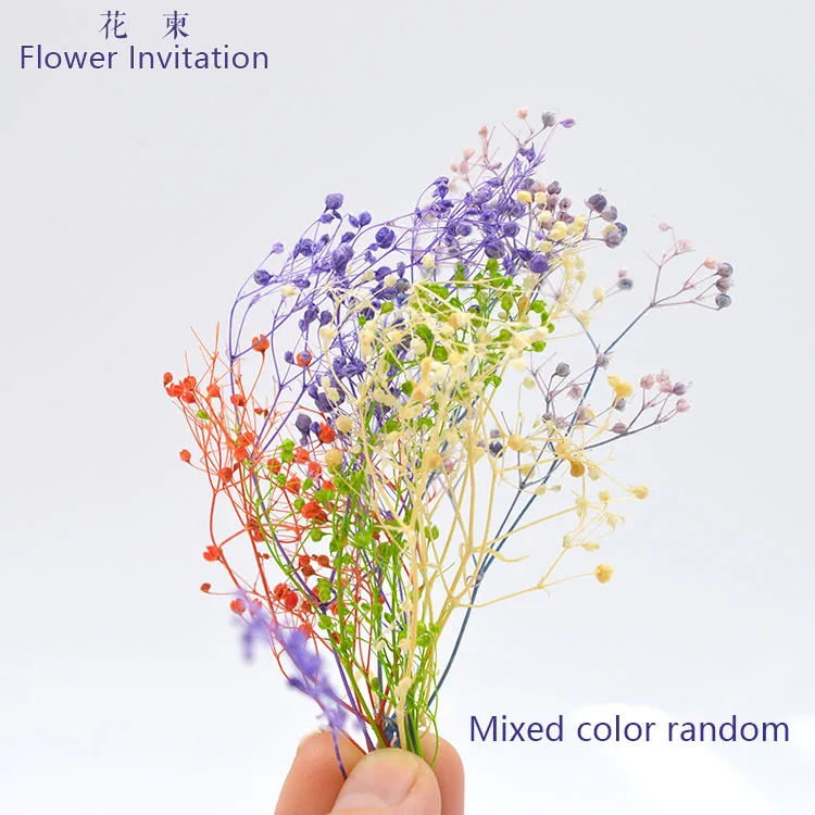

Flower Invitation Mixed Dried Plant Specimens DIY Hand Pressed Flowers Natural Dried Flowers