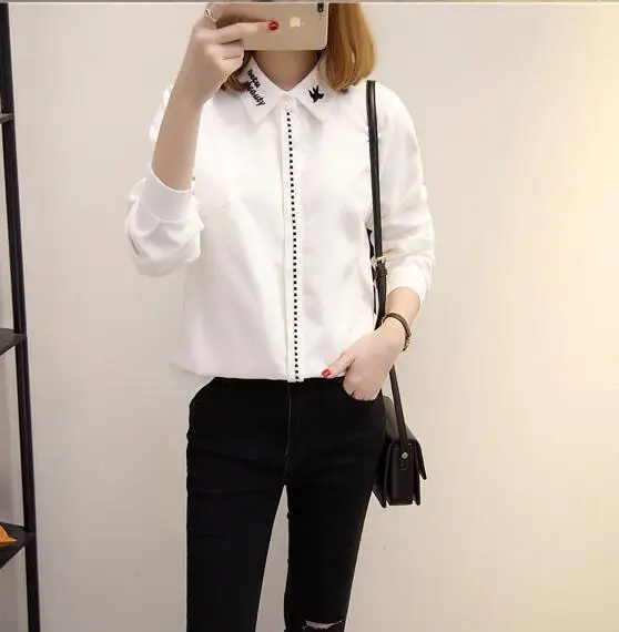Z17012062  9