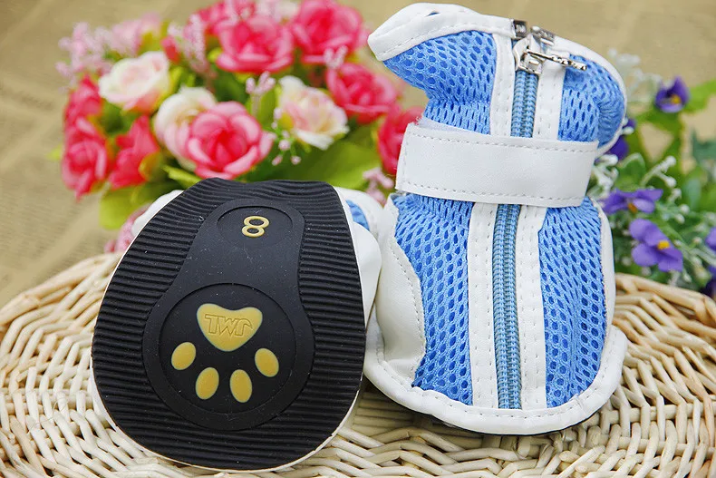 running shoes for pet (6)