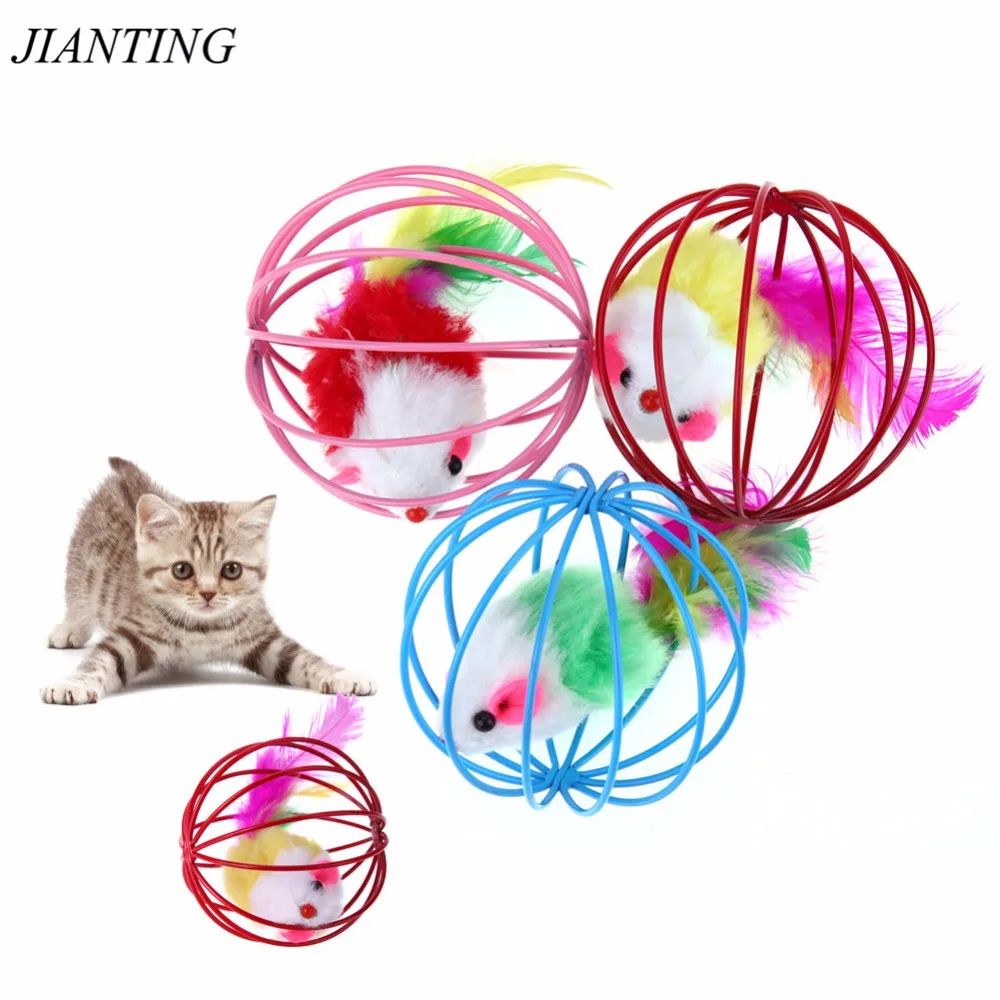 cat play mouse