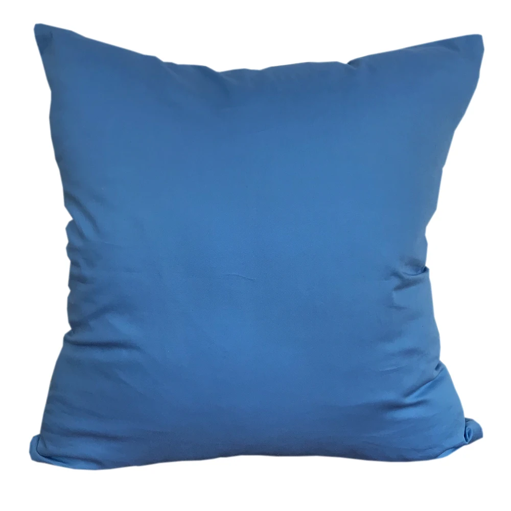 CC133_blue