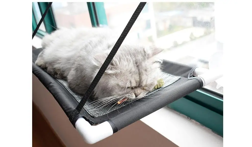 360截图20190529101732858