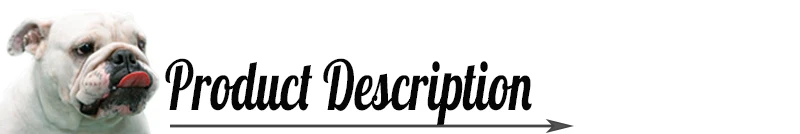 product-description1