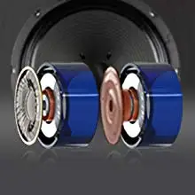 RaDetT0WTzq2._UX220_TTW__