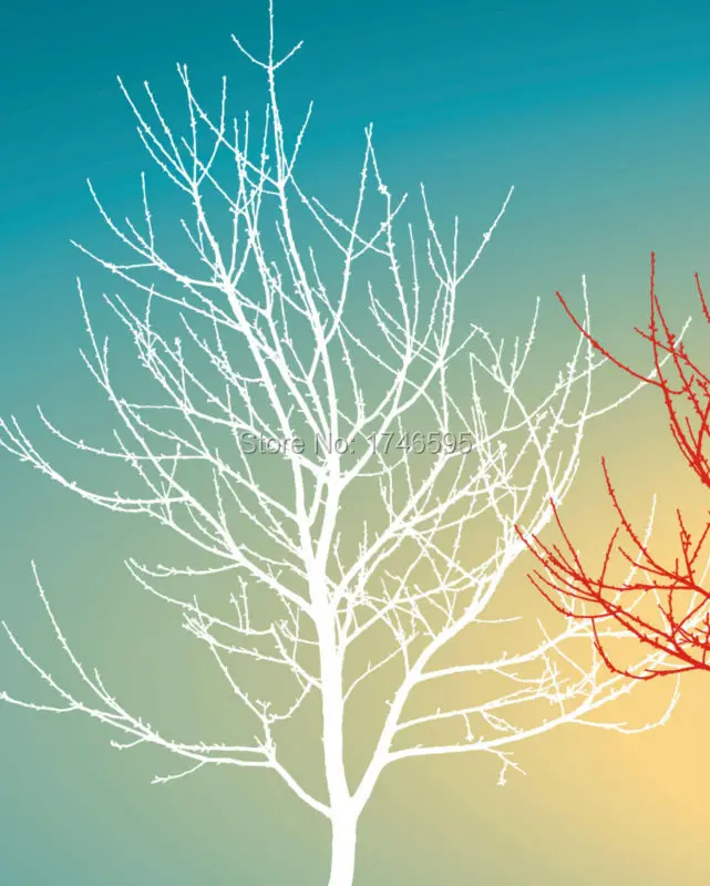 white red black tree-1