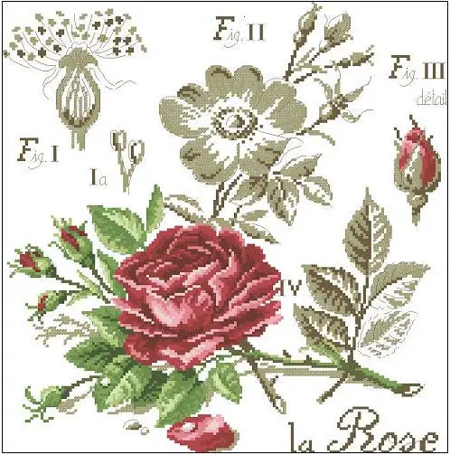 

Embroidery Package Free Shipping Cross Stitch Kits Rose Flower Shadow Beautiful