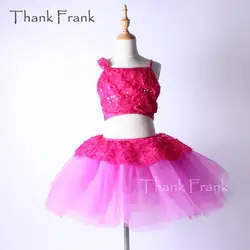Балетное платье-пачка с вышивкой из 2 предметов для детей и взрослых, длинный танцевальный костюм с блестками, спасибо Frank C355