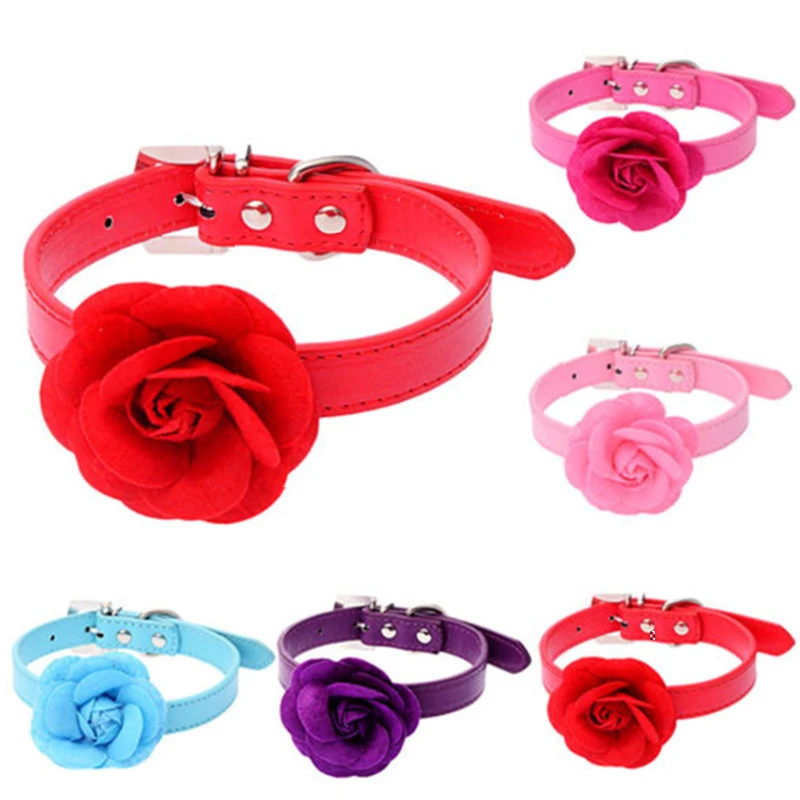 dog collar with roses