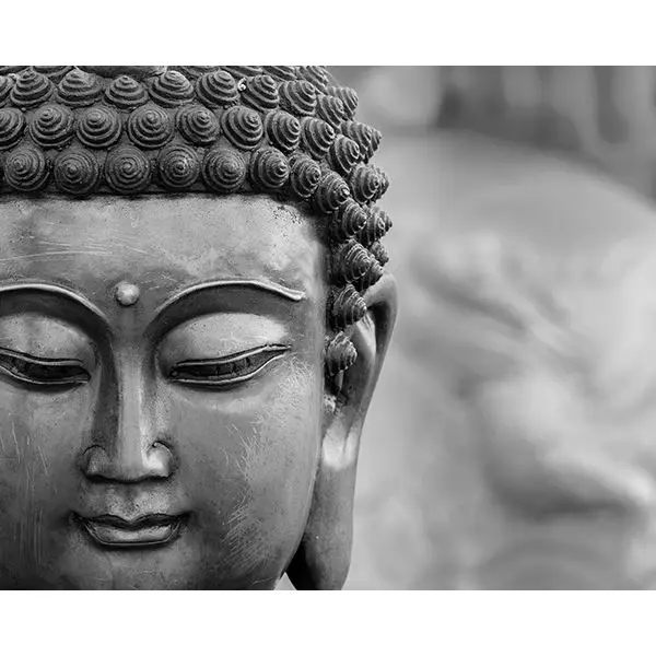 0021878_buddha-wall-mural