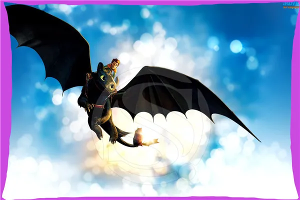 

Personalized Custom Pillow Case How to Train Your Dragon Rectangular Pillowcases zipper 45x35cmSQ00707-@H076