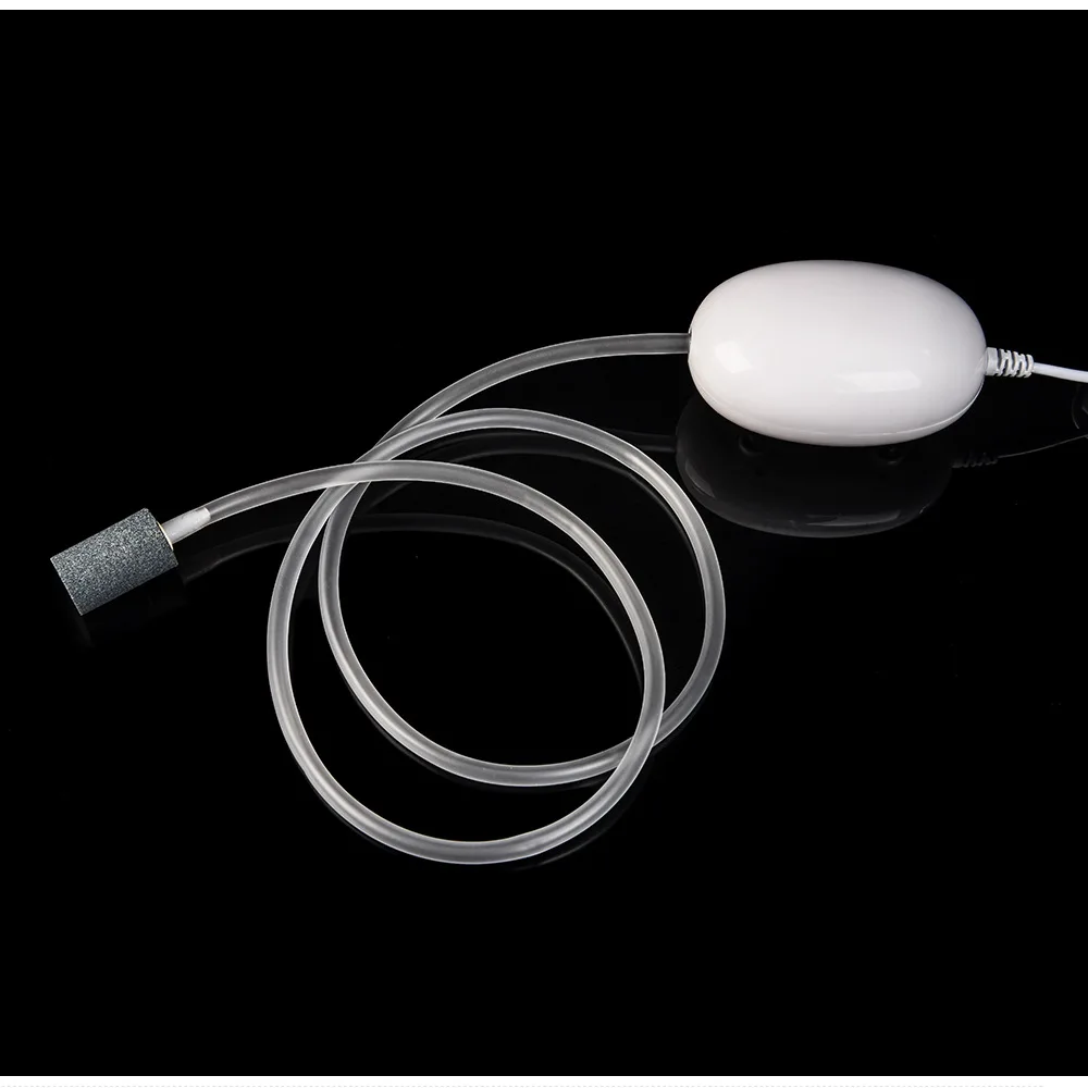 6492126041_2050739421