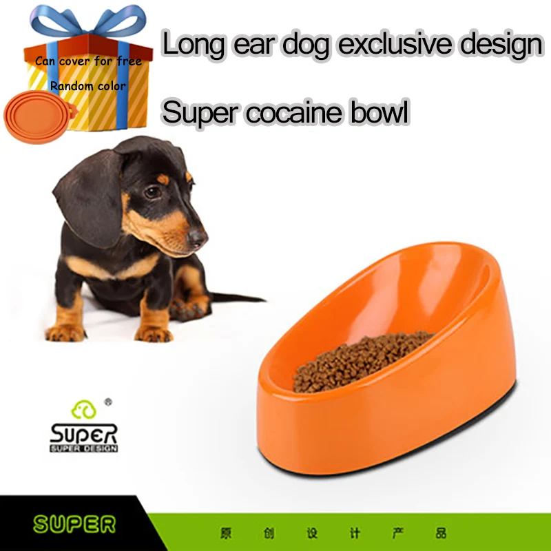 cocker spaniel dog bowl