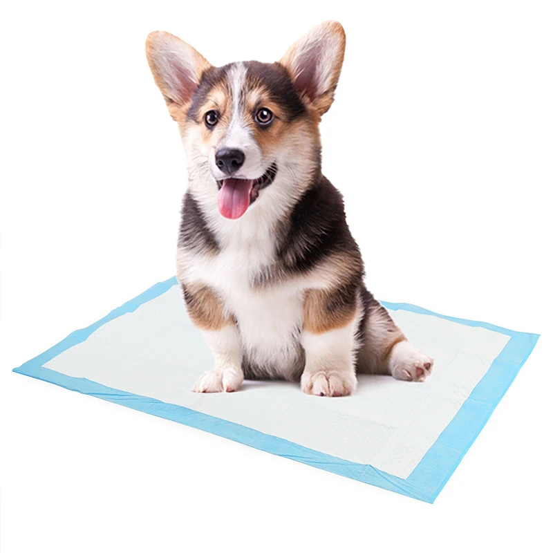 

New Super Absorbent Pet Diaper Dog Training Pee Pads Disposable Healthy Nappy Mat For Dog Cats 4 Sizes