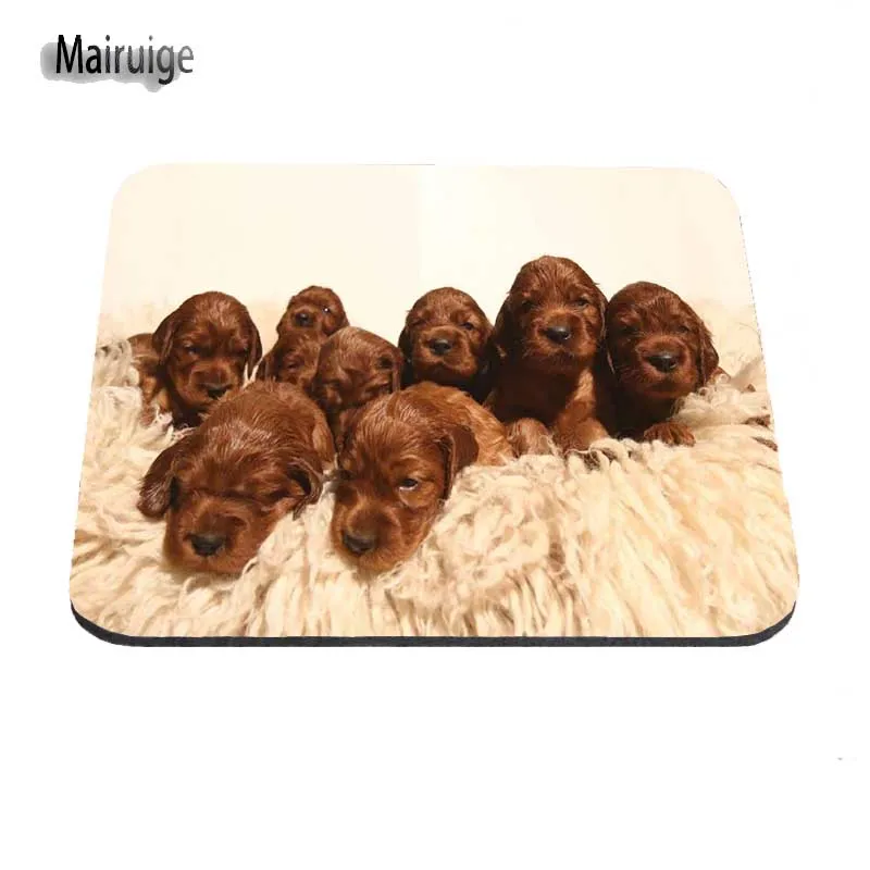 4 (2)