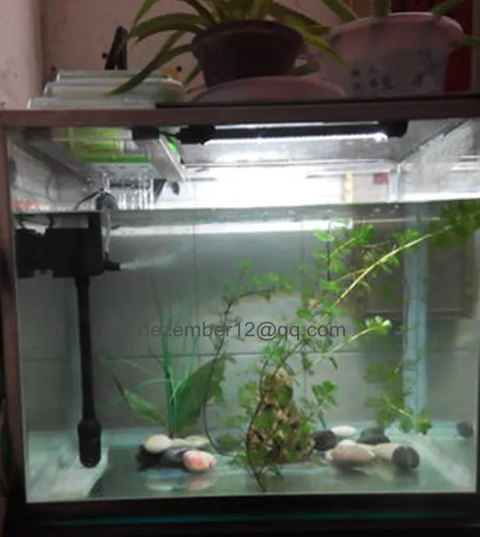 1500g 1
