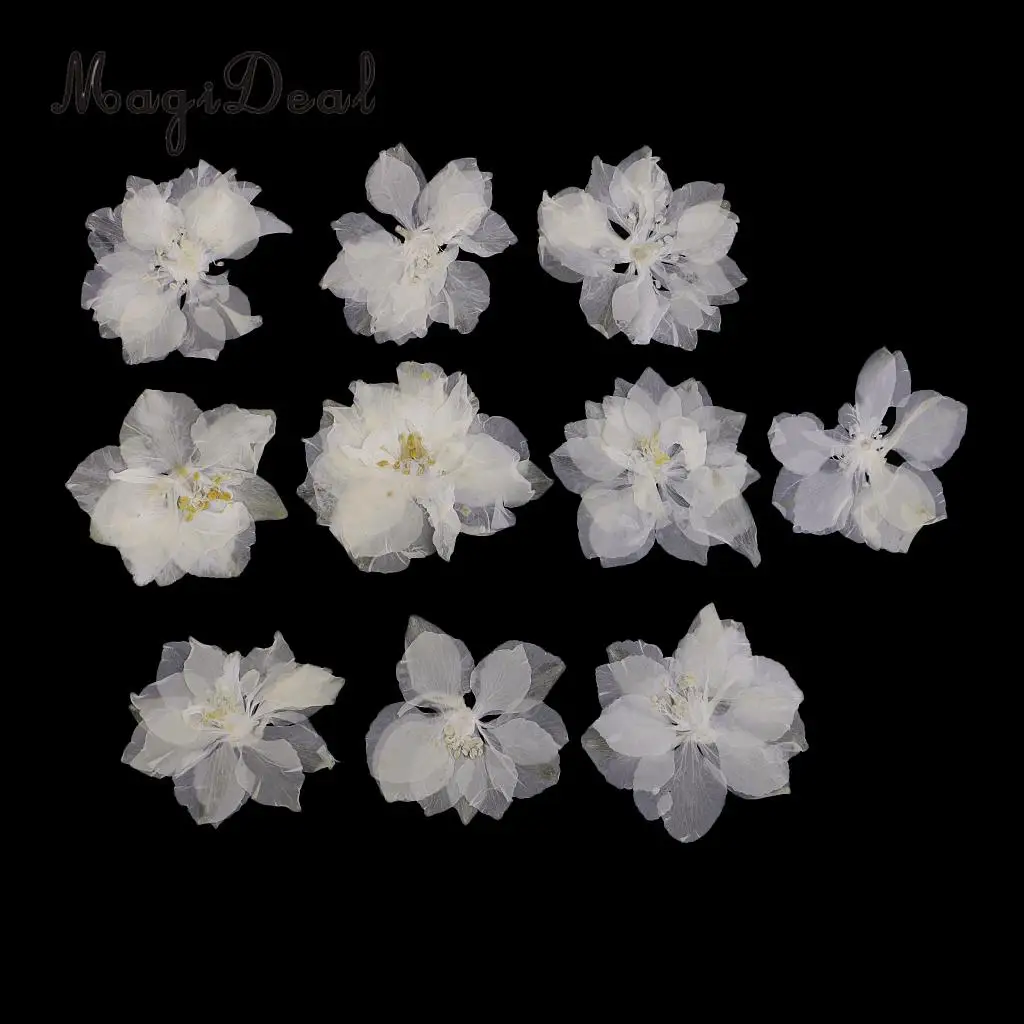 10 / 20Pcs Beautiful Real Pressed Rose Petal Babysbreath Flowers Dried Flowers for Art Craft Scrapbooking DIY Resin Jewelry