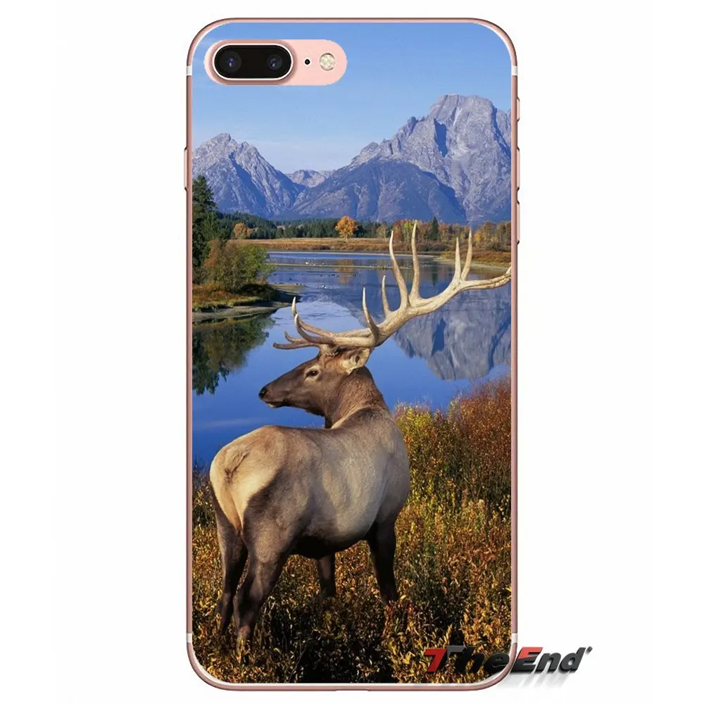 Аксессуары чехлы для телефонов iPhone X 4 4S 5 5S 5C SE 6 6S 7 8 Plus Samsung Galaxy J1 J3 J5 J7 A3 A5 2016 2017