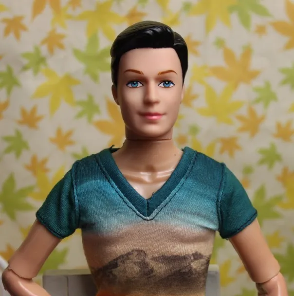 20Pcs lot Factory Wholesale Male Doll Prince Ken Head Face Film Necessary For KEN Doll s