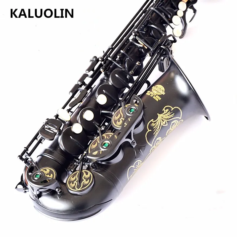 

France Lehmann musical instrument saxophone E flat alto saxophone Black Nickel Gold black pearl Perform music promotio