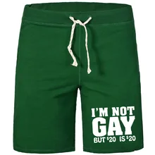 Спортивные Шорты I am not gay style, классические, дышащие, однотонные, Z, хлопок,, с карманами, преобладающие, до колена