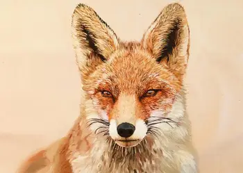 

Artist's original art hand-painted oil on canvas ：The coy red fox looking forward to love, free shipping .