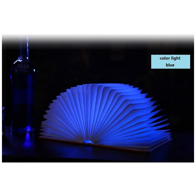 book lamp (2)