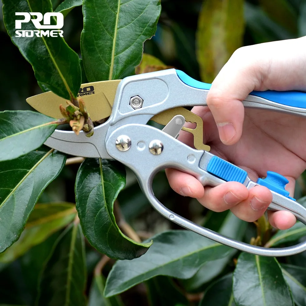 

PROSTORMER Bonsai Garden Tools Light Scissors Grafting Fruit Trees Bonsai Pruning Shears Blade Coating PTFE Scissors Switch